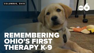 Franklin County deputies honor therapy dog Mattis K9 after death