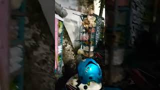 Download Lagu #ngeyek#..tukang sayur #keliling# MP3