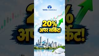 Tata Chemicals ROCKED! 20% UC Kaise Laga? #TataSonsIPO #rbi