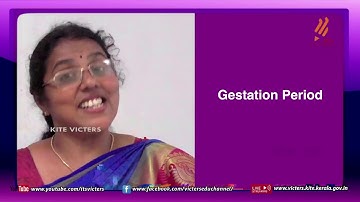 KITE VICTERS Plus two Zoology Class 07 (First Bell-ഫസ്റ്റ് ബെല്‍)