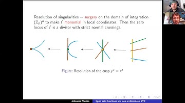 Johannes Nicaise. Igusa zeta functions and the non-archimedean SYZ fibration
