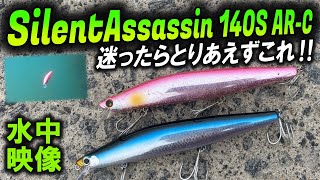 【サイレントアサシン140Ｓ】シーバス・ヒラメ釣ったこと無い人必見！ＢＩＧルアーはアピール大！水中映像