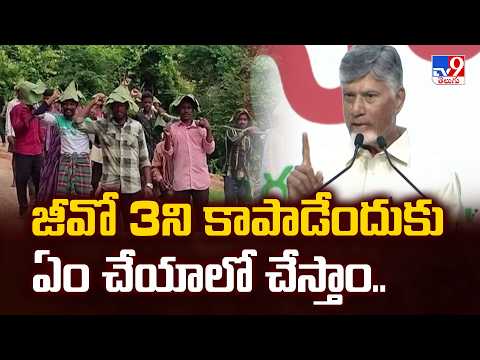 CM Chandrababu : జీవో 3ని కాపాడేందుకు ఏం చేయాలో చేస్తాం.. - TV9 - TV9