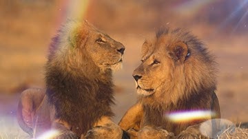 DEVAYAT KHAVAD SAVAJ STATUS / devayat khavad status