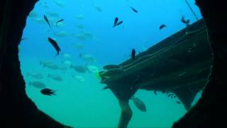 diving thailand , Koh Tao - koh tao diving - HTMS Sattakut , scuba diving koh tao, thailand
