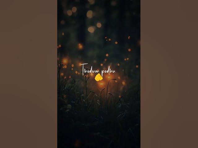 Ayyo Ayyo 💞 whatsapp status video song 🎧 love status tamil 💞 lyrics status video tamil