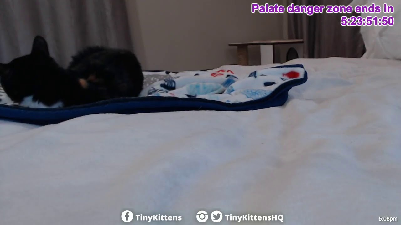 TKmain 10 21 2018  19 56 37 to PST