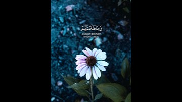 القارئ ياسر الدوسري||سورة الزخرف #القرآن_الكريم #ياسر_الدوسري #كرومات