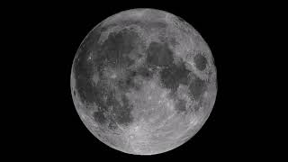 The Onion s Our Dumb Century - 1969 Moon Landing
