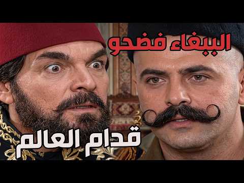 معقول ببغاء يعمل كل هاد و يفضح صاحبو ويصير مضحكة لرفقاتو😧😮 _ مرايا