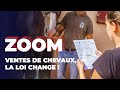 Zoom  ventes de chevaux la loi change 