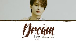 SEVENTEEN JUN (준) - 'DREAM' Chinese Ver. LYRICS/가사 (The King Eternal Monarch OST)