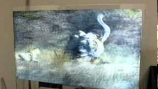 Future TV demo