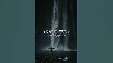 القارئ اسلام صبحي ♥️✨