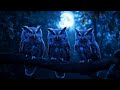 Owls Hooting On A Windy Night 