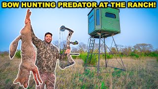 My FIRST TIME Bow Hunting COYOTES at My RANCH!!! (Epic Shot)