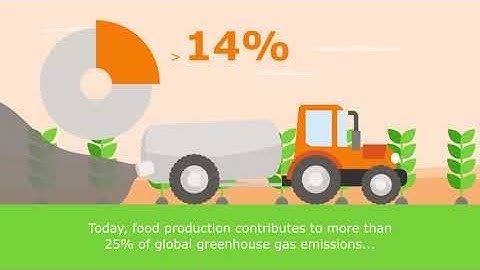 Redesigning the food system