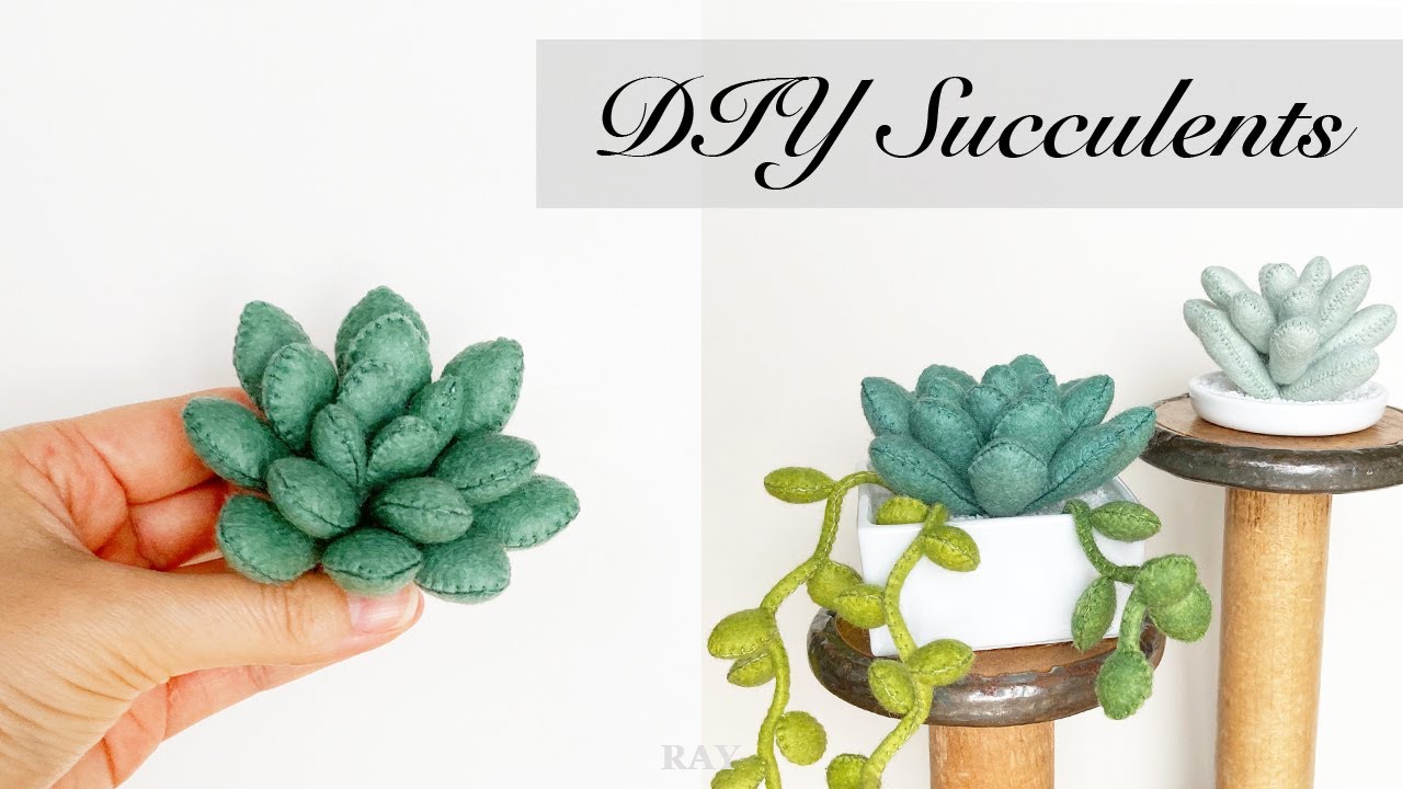 多肉植物の作り方 フェルトで作る エケベリア フェルトで簡単手作り Diy Felt Succulents Echeveria Tutorials Youtube 多肉植物の作り方 フェルトで作る エケベリア フェルトで簡単手作り Diy Felt Succulents Echeveria Tutorials Youtube