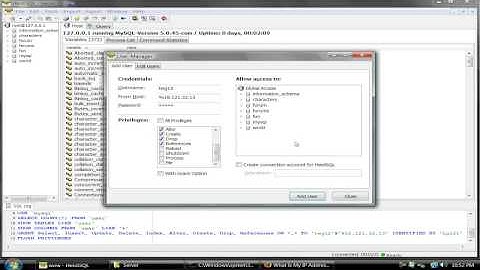 How to give Other people Database Access to your WoW Private Server Database. (HeidiSQL Tutorial)
