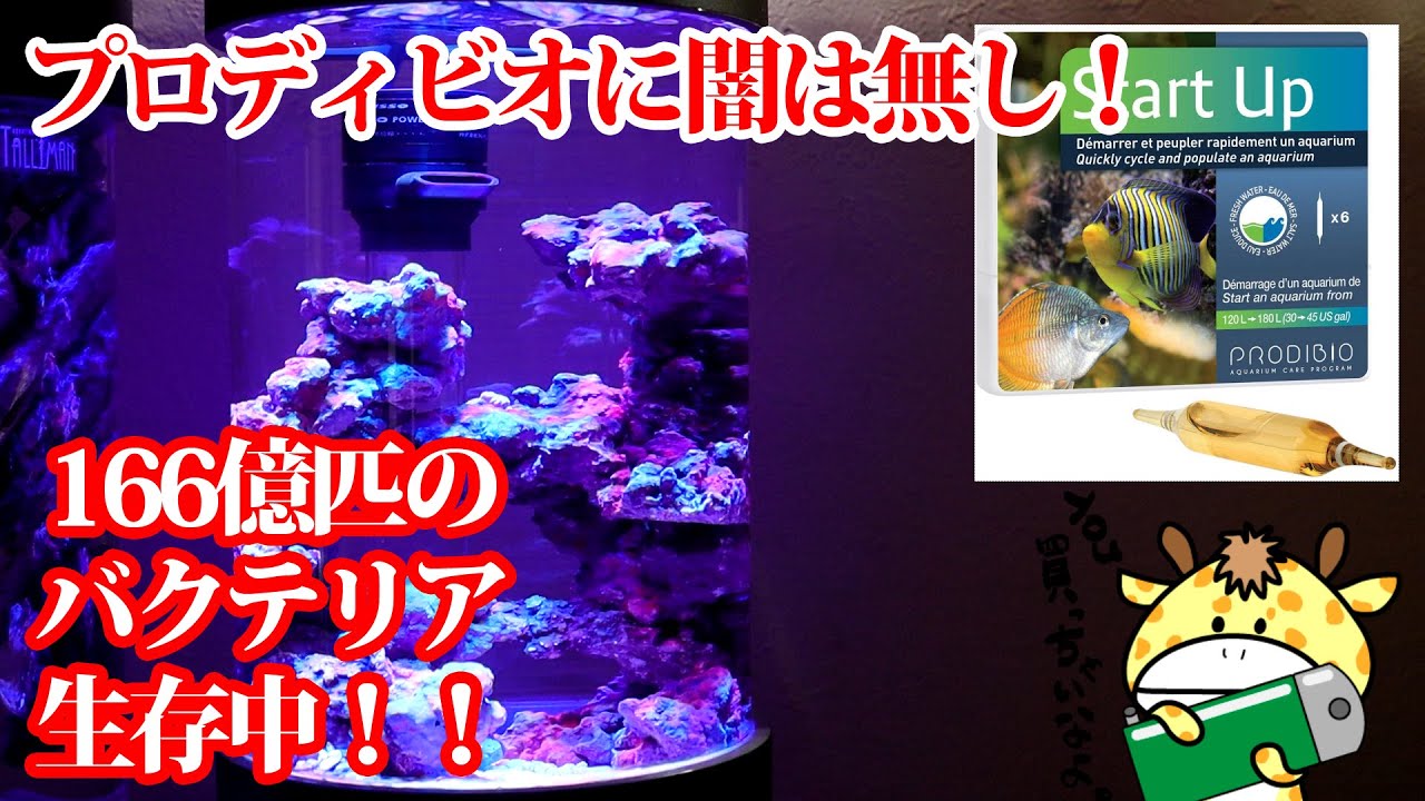 There's no darkness in Prodivio! How to know how many bacteria you