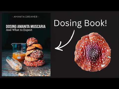 Look Inside- Dosing Amanita Book