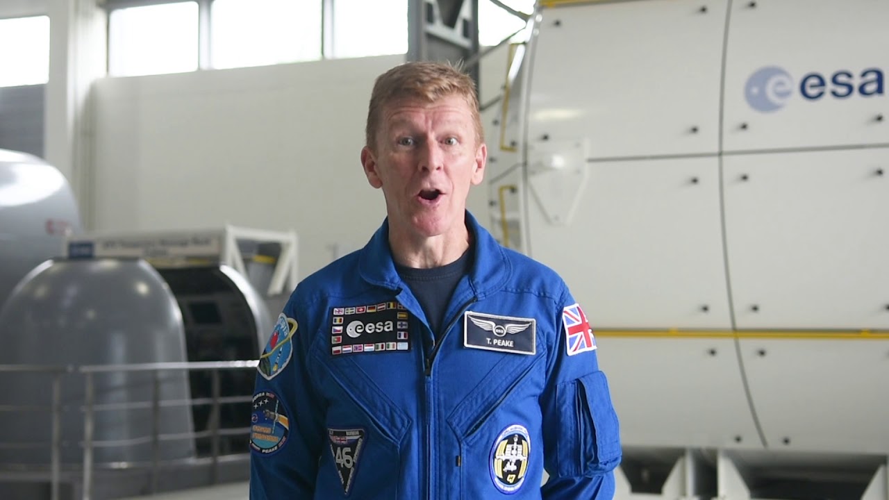 Newton's space saplings: can you give them space to grow?