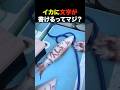 イカに文字が書けるってマジ??【雑学】