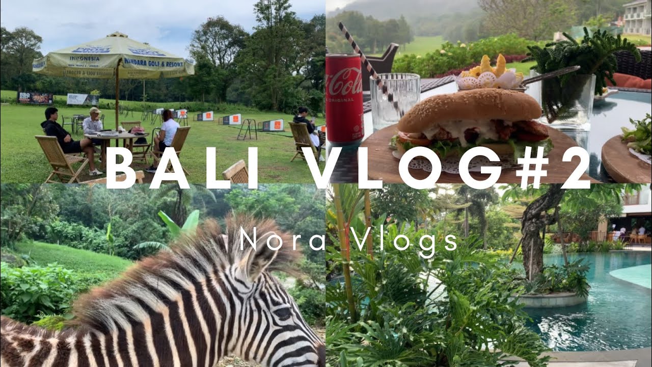 Bali vlog 🏖️| رحلتي إلى بالي الجزء الثاني | مين أجمل حديقة الحيوانات في بالي أو بونشاك 😍🐘🦒؟؟
