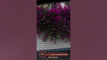 #القارئ #رمضان_شكور رحمه الله || سورة الأعراف 44-51
