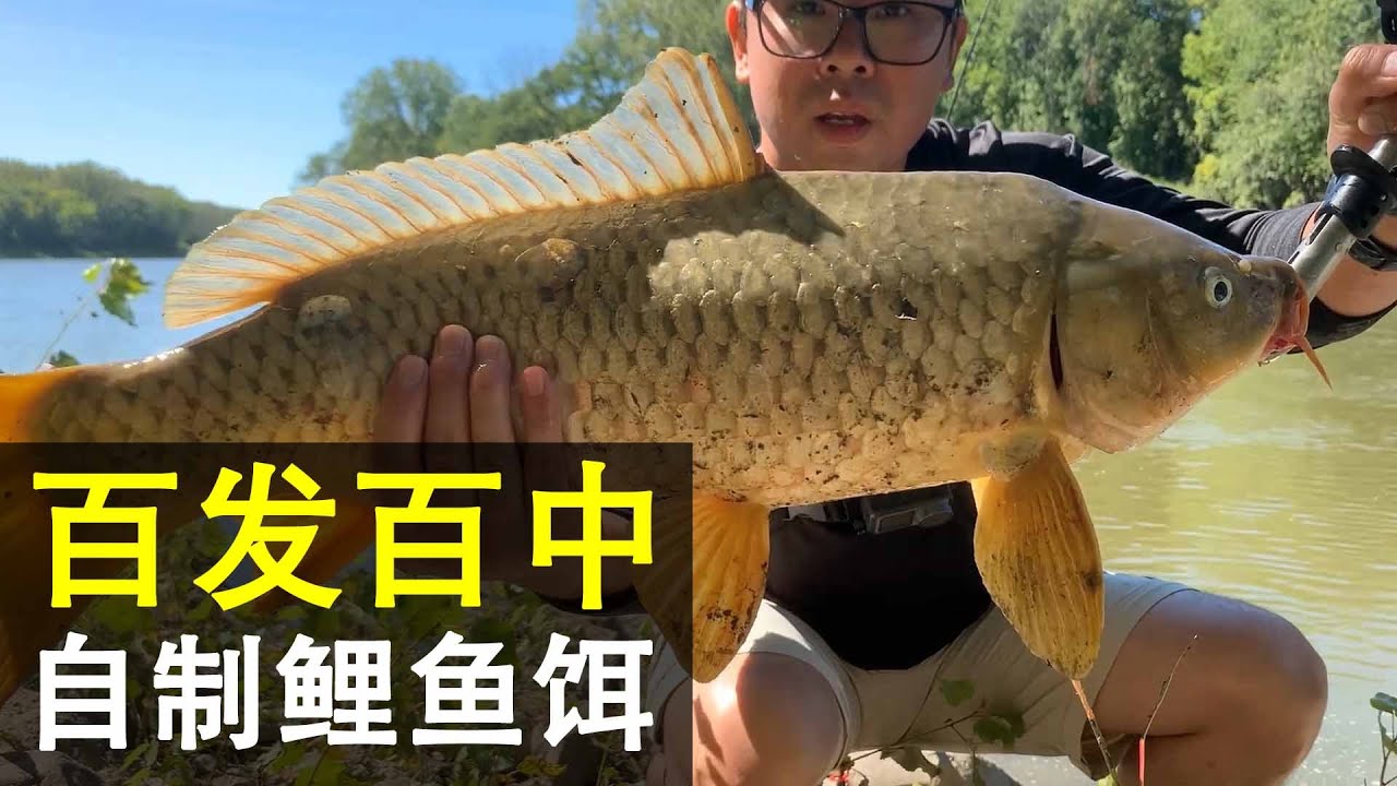 超大的自制鱼饵就要钓大鱼share 百发百中的鲤鱼饵fishing (美国钓鱼