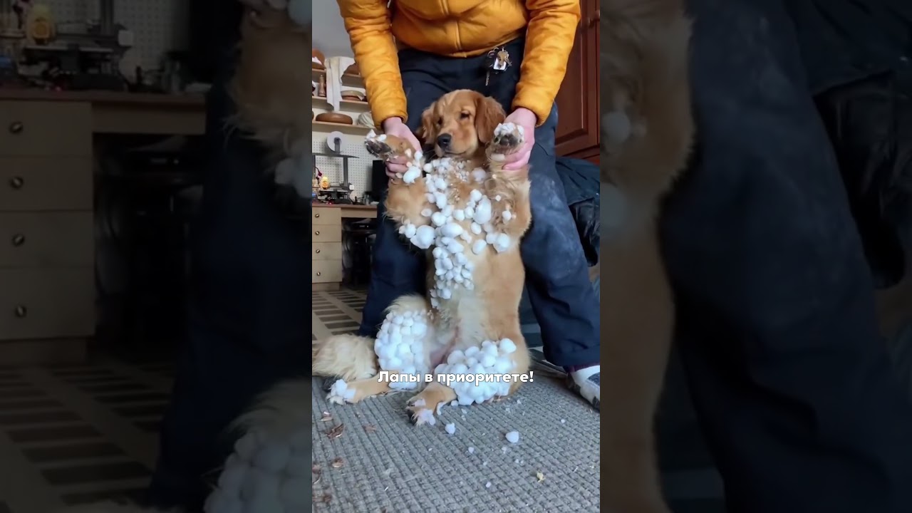 Делитесь лайфхаками для зимних прогулок