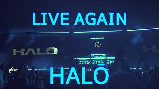 Halō outro LIVE AGAIN Nameless Festival