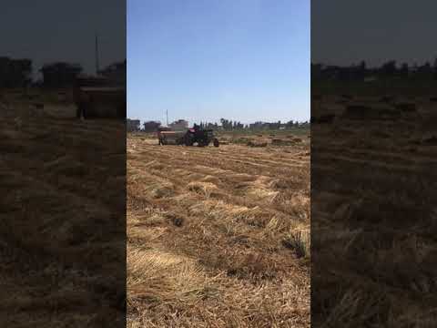 مكبس قش الارز مكبس جولياني موسم ٢٠٢٠ جرارات ومعدات زراعيه