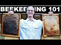 NATURAL BEEKEEPING FOR BEGINNERS (Dr. Leo Sharaskin) Homestead Hive Raising Bees Without Chemicals