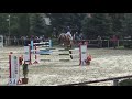 Greenfield Horses- gelding 5y.o. by Nabab de Reve x Concorde