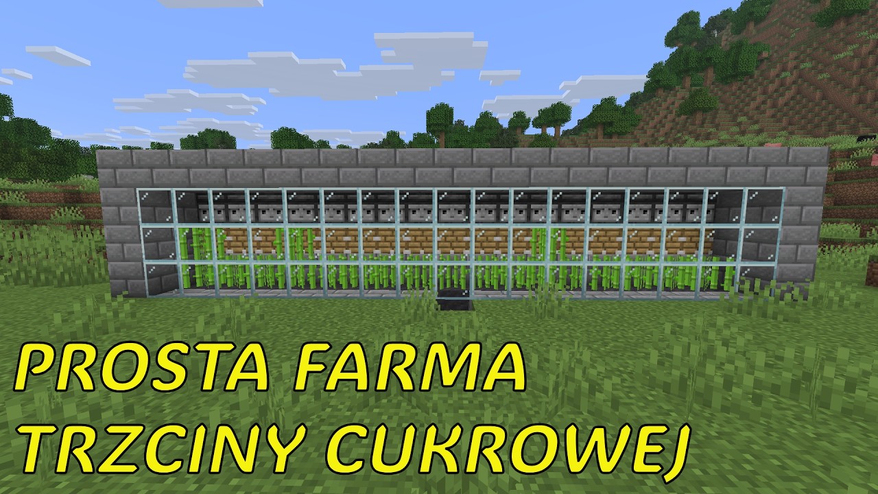Prosta farma trzciny cukrowej Minecraft