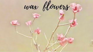 Beautiful flower making with candle | Candle wax flowers making | How to make wax flower easy