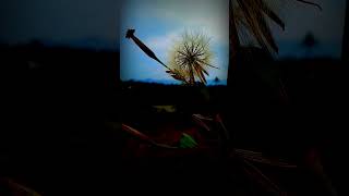 Story wa arief biarlah ku simpan air mata