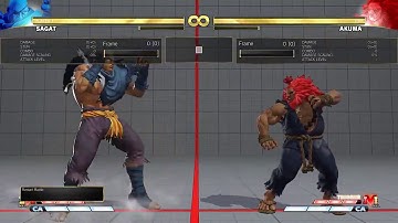 SFV - Sagat V-Skill 2 Setup