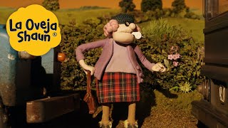 El tráfico mantiene a la abuelita 🐑 La Oveja Shaun 🐑 Dibujos animados para niños