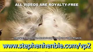 HD Video Pack 2 Example 1