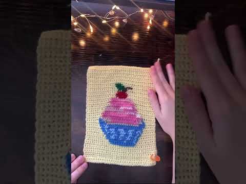 cupcake/rainbow crochet book sleeve🧁 #shorts #shortsclip #crochet #cupcake #rainbow #crocheting #fy (video tutorial)