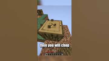 skyblock in 43 seconds