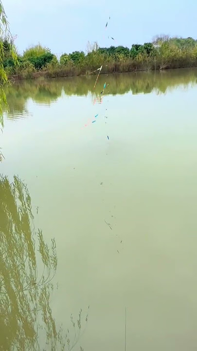 Girl Lucy Baby Cute Catching Fish #beautiful #girl #fishing #trending #shorts