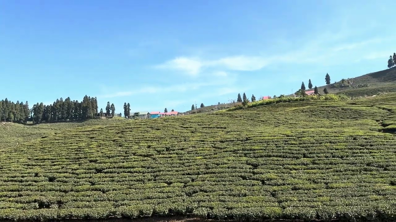 Xoriko sathama ghoda sawar kanyam