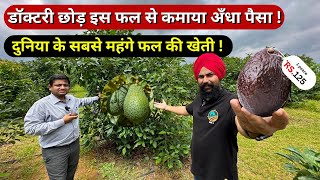 1200रू किलो बिकने वाले एवोकैडो फल से कमाये लाखों 🥑 || Hass Avocado Fruit Farming in india