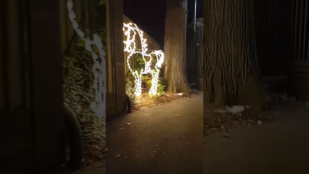 Holiday lights at Bronx Zoo 2020