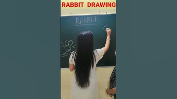 Rabbit Drawing Step by Step #shorts #shortsvideo #youtubeshorts #reel #reels #art #viral #viralvideo