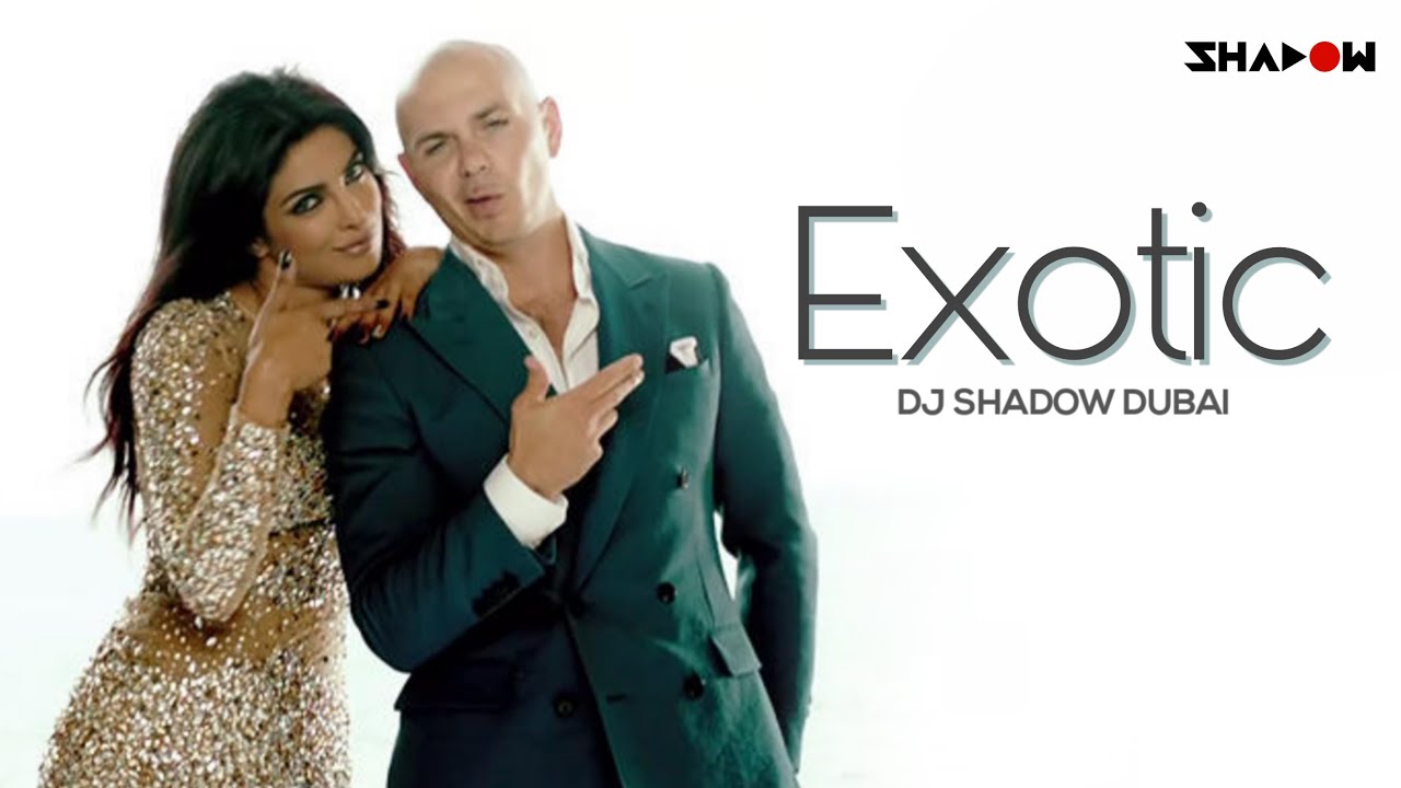 Exotic Priyanka Chopra Ft Pitbull DJ Shadow Dubai Remix - YouTube Music.