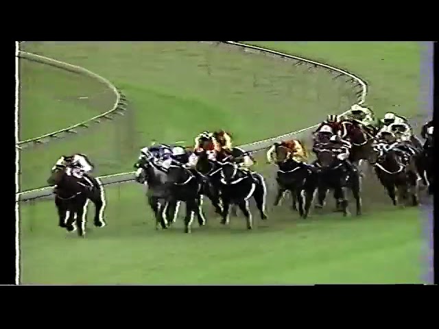 4Kリマスター】1998年 宝塚記念（GⅠ） | サイレンススズカ | JRA公式